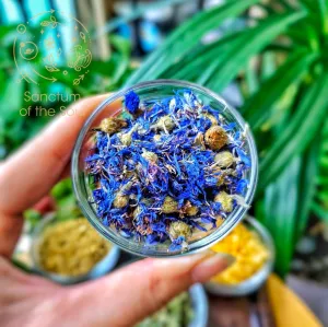 Blue Cornflowers
